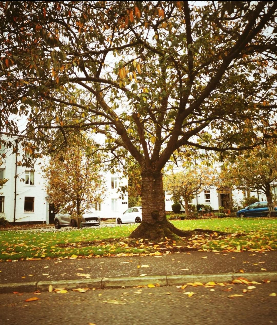 Entire 1 Bed Spacious Apartment, Private Balcony & Study Room Near City Whitehouse  Exteriör bild